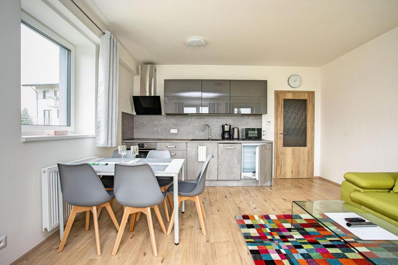Green Apartment Klinovec By Mountain Ways Лоучна-под-Кліновцем Екстер'єр фото