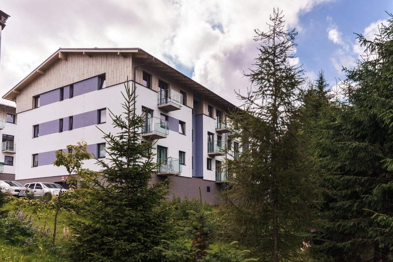 Green Apartment Klinovec By Mountain Ways Лоучна-под-Кліновцем Екстер'єр фото
