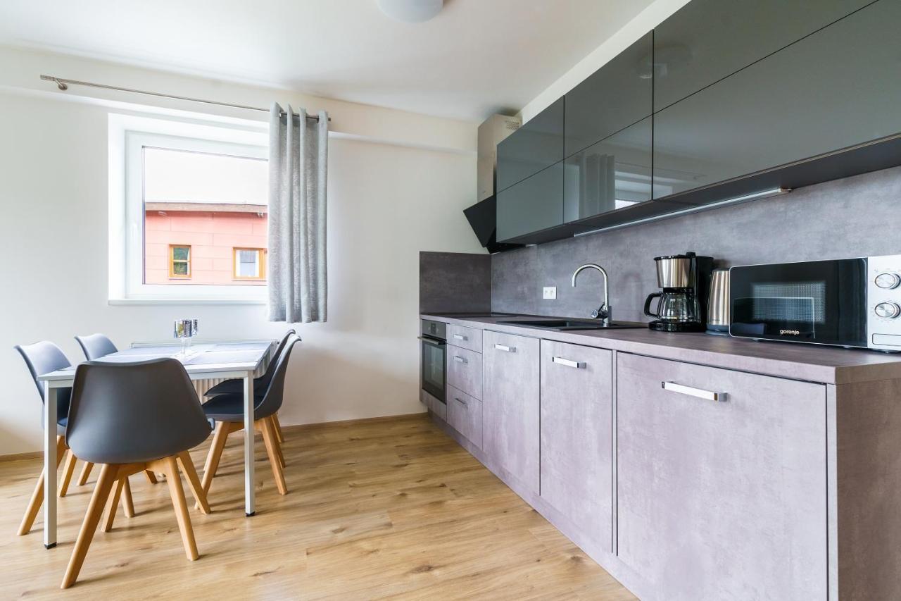 Green Apartment Klinovec By Mountain Ways Лоучна-под-Кліновцем Екстер'єр фото