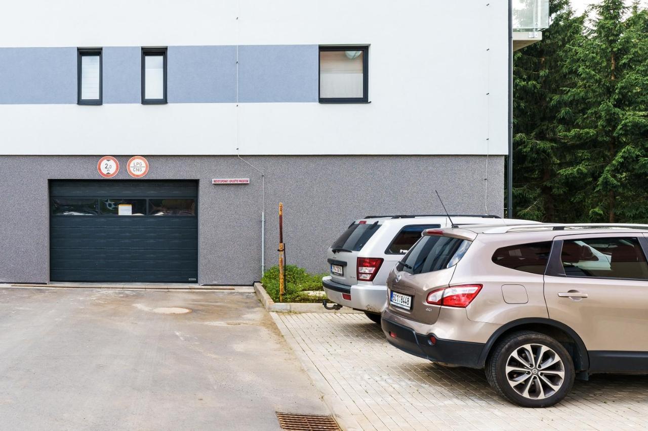 Green Apartment Klinovec By Mountain Ways Лоучна-под-Кліновцем Екстер'єр фото