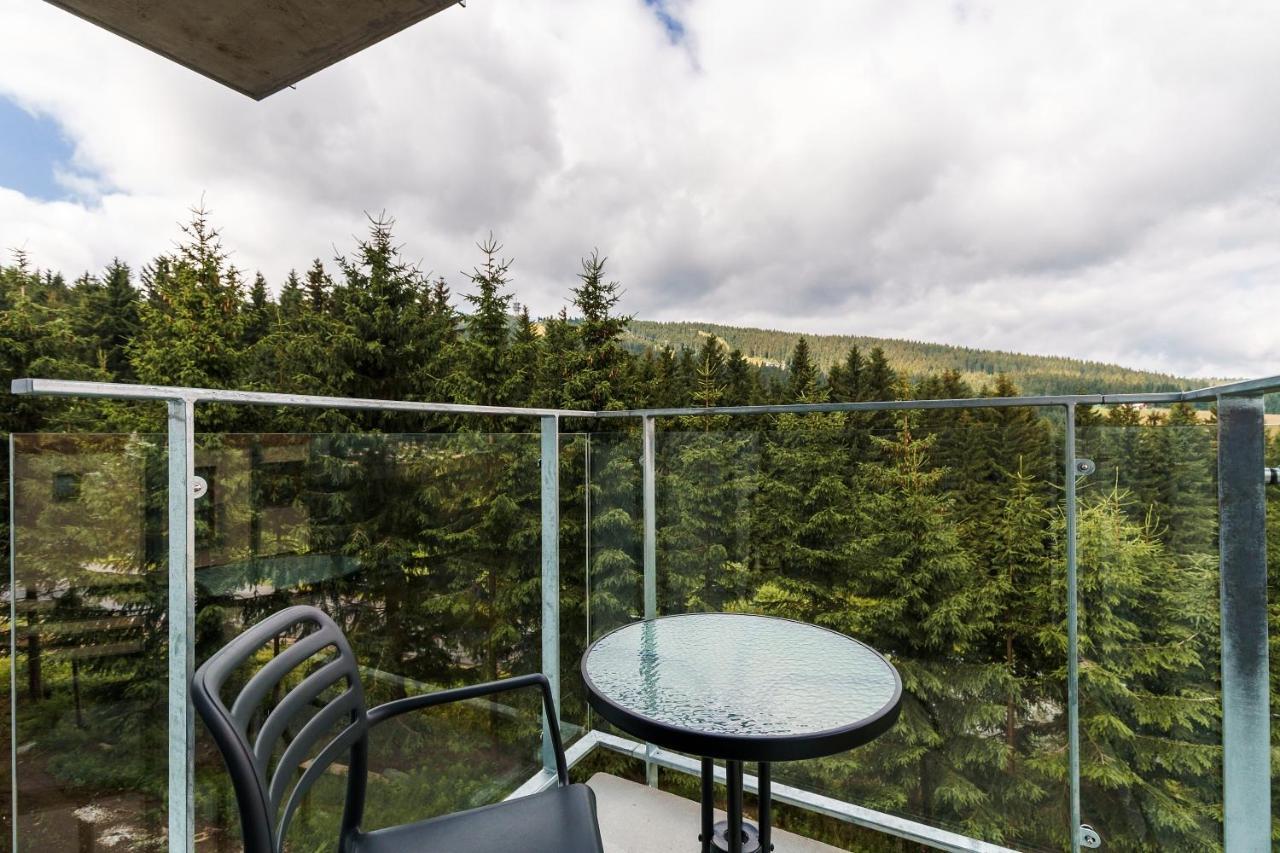 Green Apartment Klinovec By Mountain Ways Лоучна-под-Кліновцем Екстер'єр фото